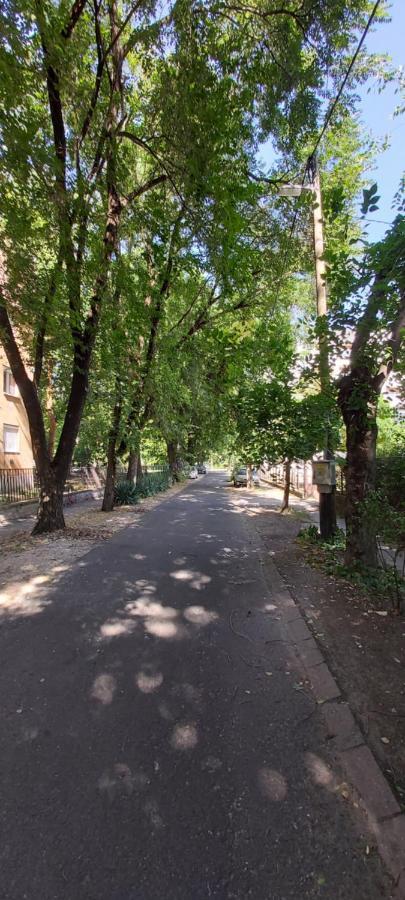 Gabrielle2 Apartman Debreczyn Zewnętrze zdjęcie